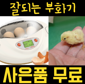 미니알콤 자동 부화기 (소란대+베딩+물통+알2개+택배비 무료)
